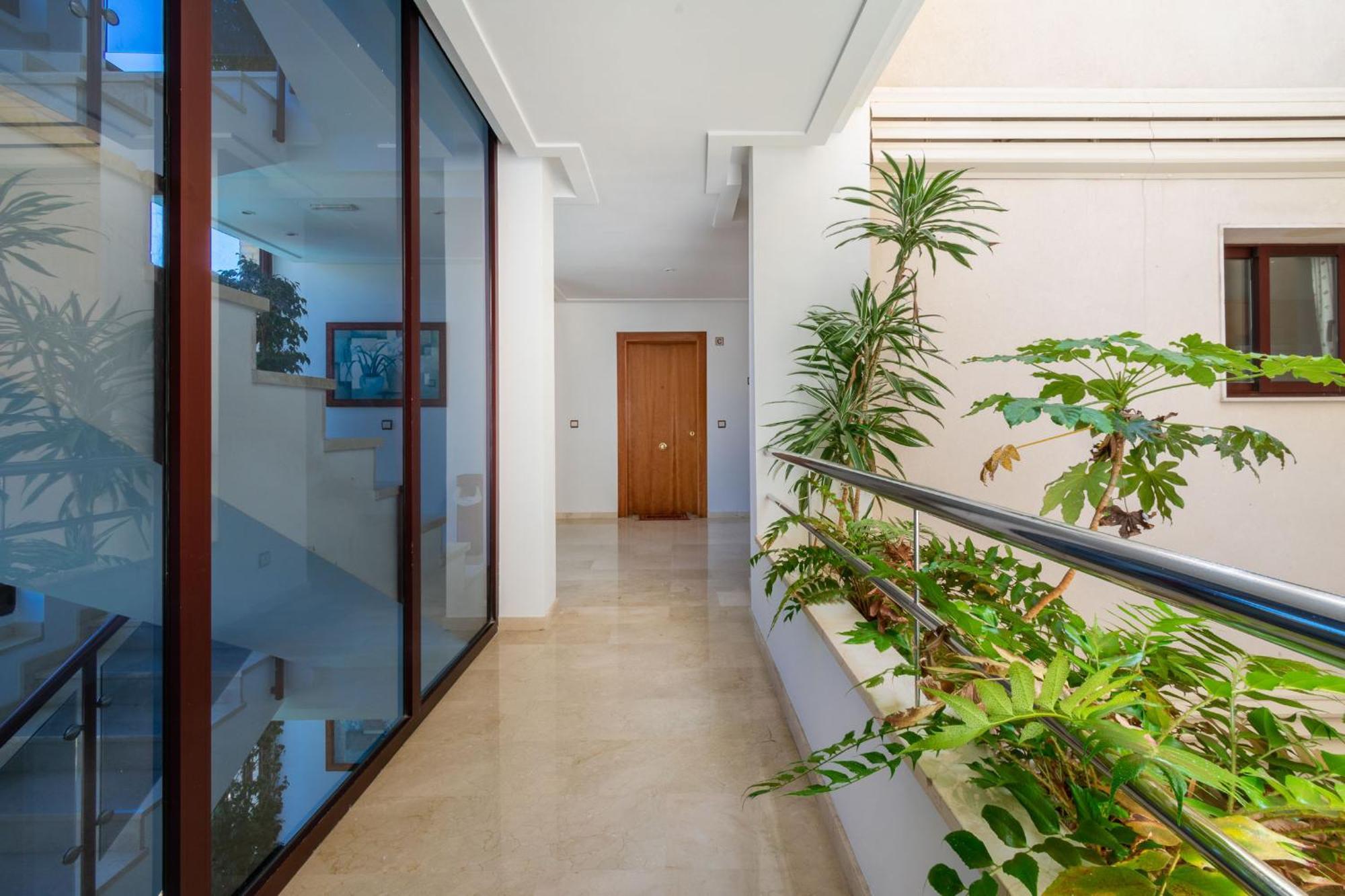 Apartamentos Albir Confort - Avenida 1 Dorm El Albir Buitenkant foto
